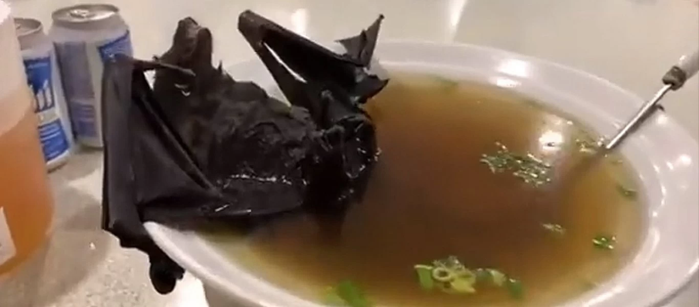 Ποιος κορωνοϊός; Οι Κινέζοι συνεχίζουν να τρώνε νυχτερίδες - σκυλιά και άλλα ζώα! (βίντεο)